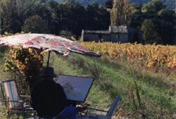 Jean in Provence